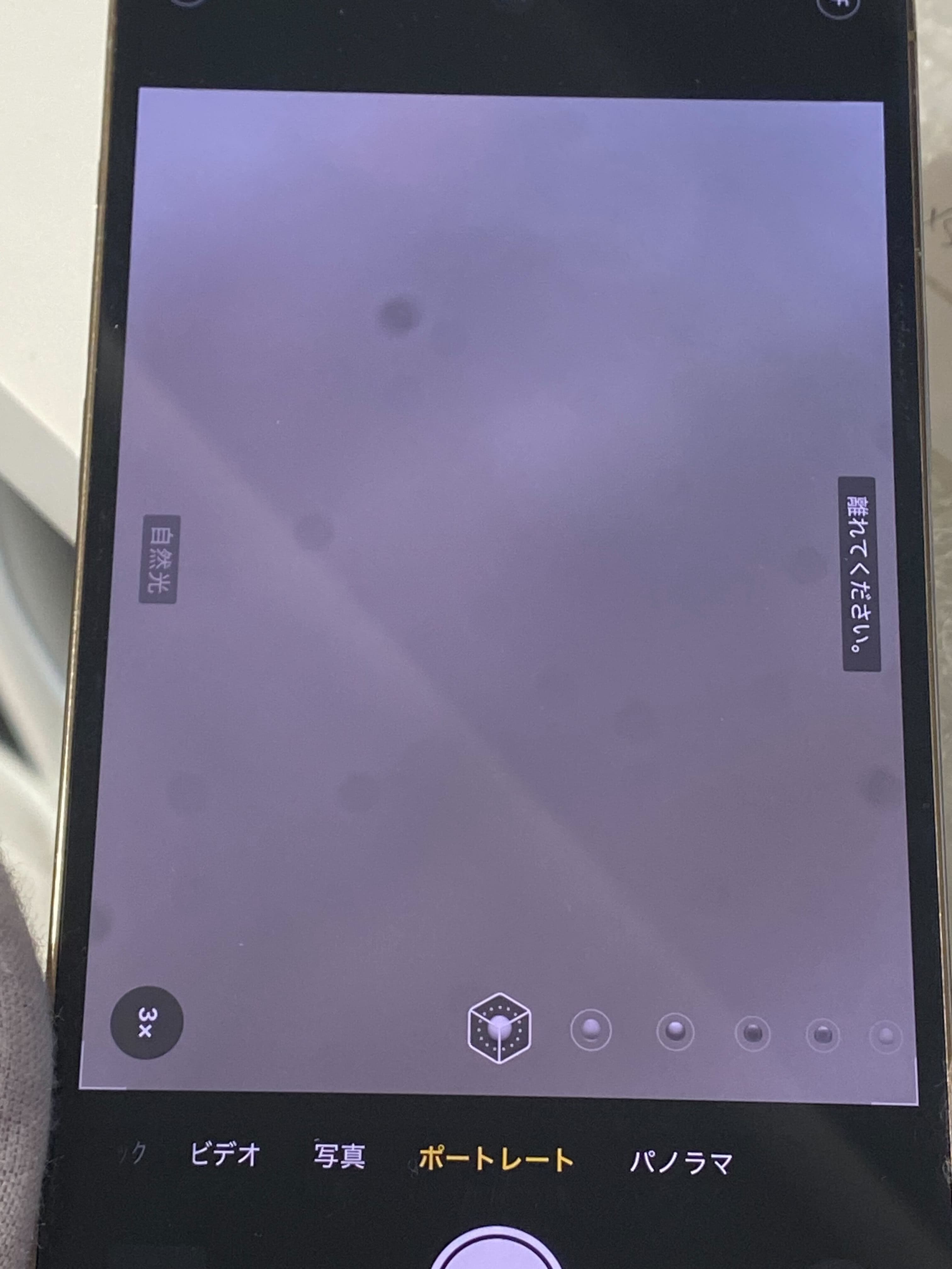 iPhone 13 Pro Max バッテリー不具合・カメラ故障 買取価格12,000円 実物写真2